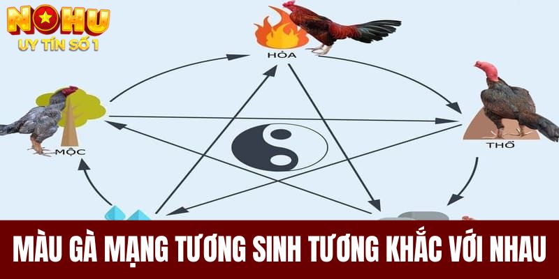 Màu gà mạng tương sinh, tương khắc với nhau
